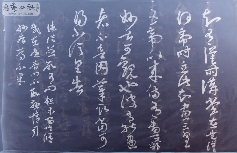 DSC07505f.jpg