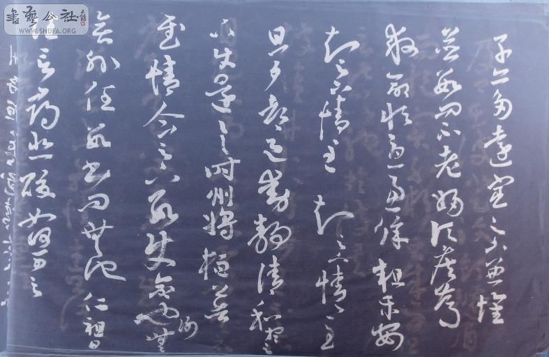 DSC07510f.jpg
