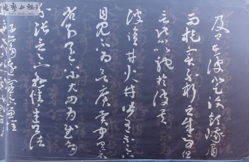 DSC07511f.jpg