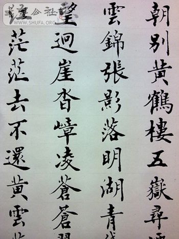 20100915307.jpg