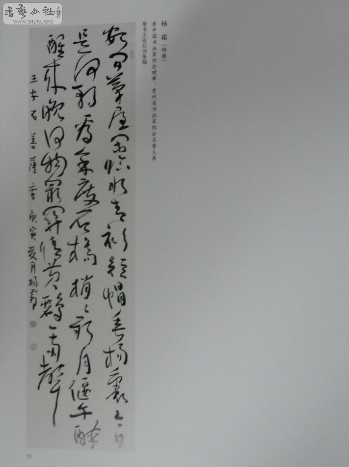 DSC01057.jpg