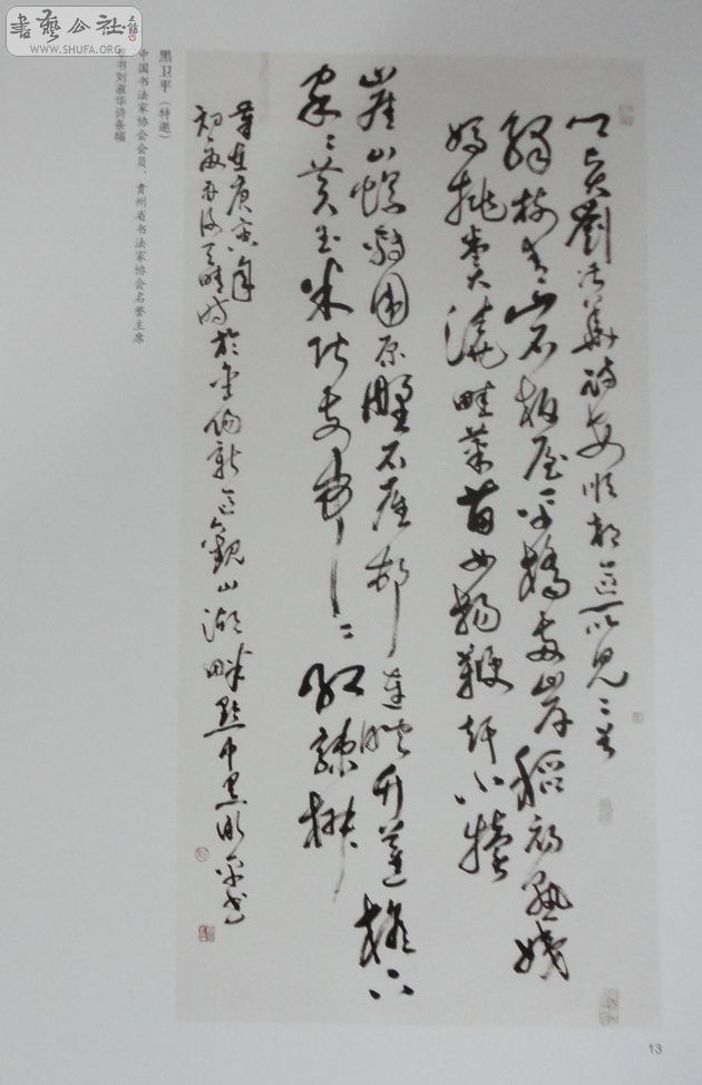 DSC01060.jpg