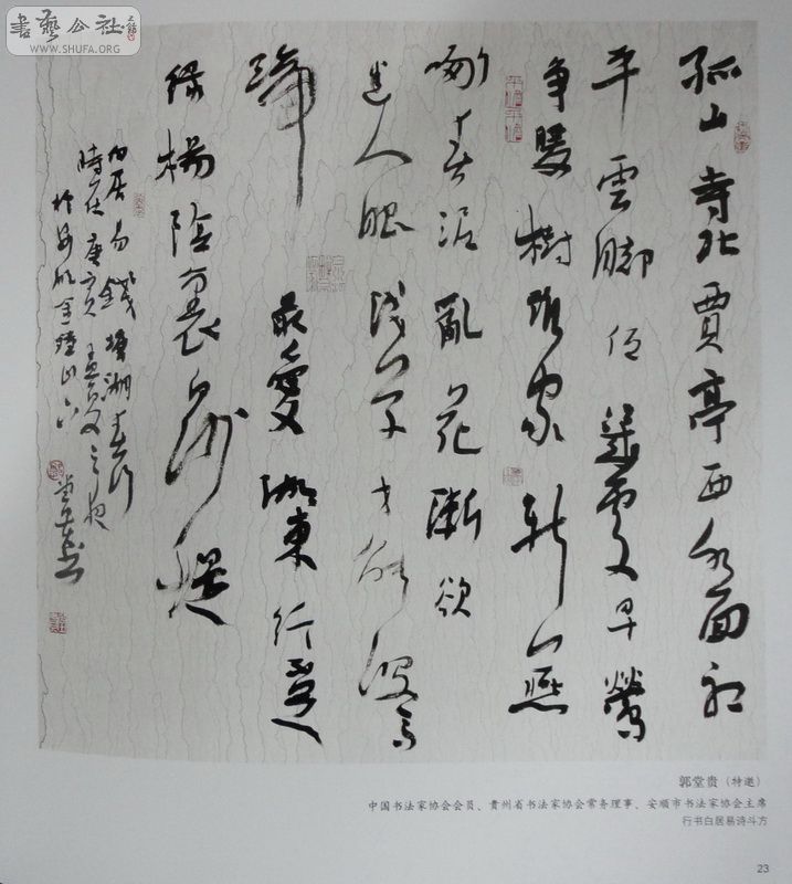 DSC01070.jpg