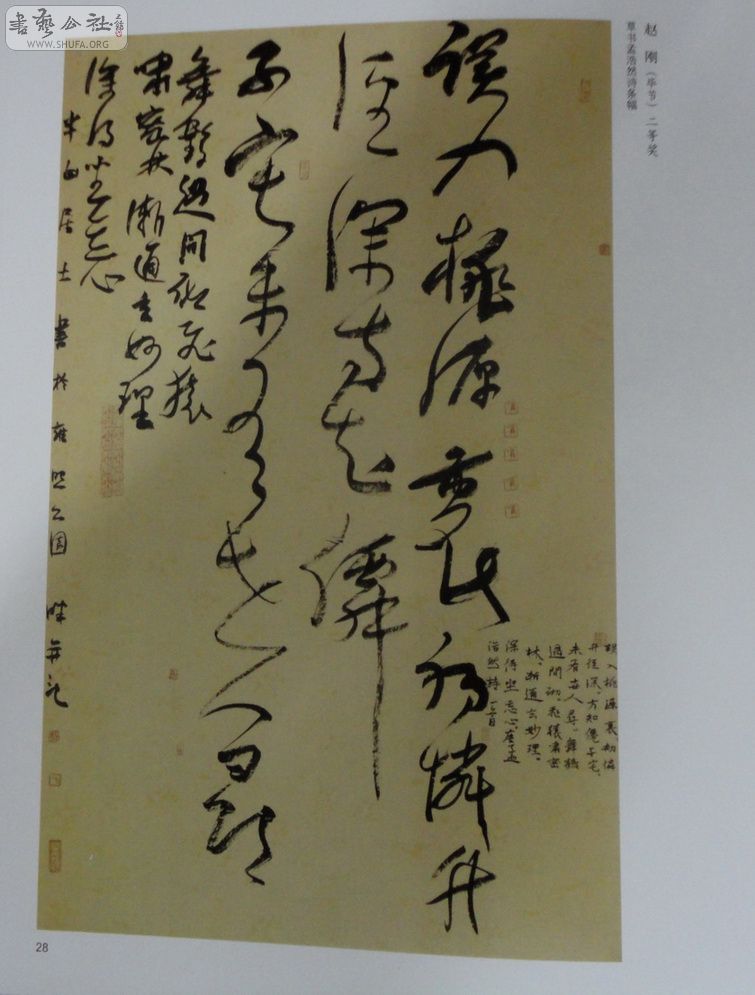 DSC01074.jpg