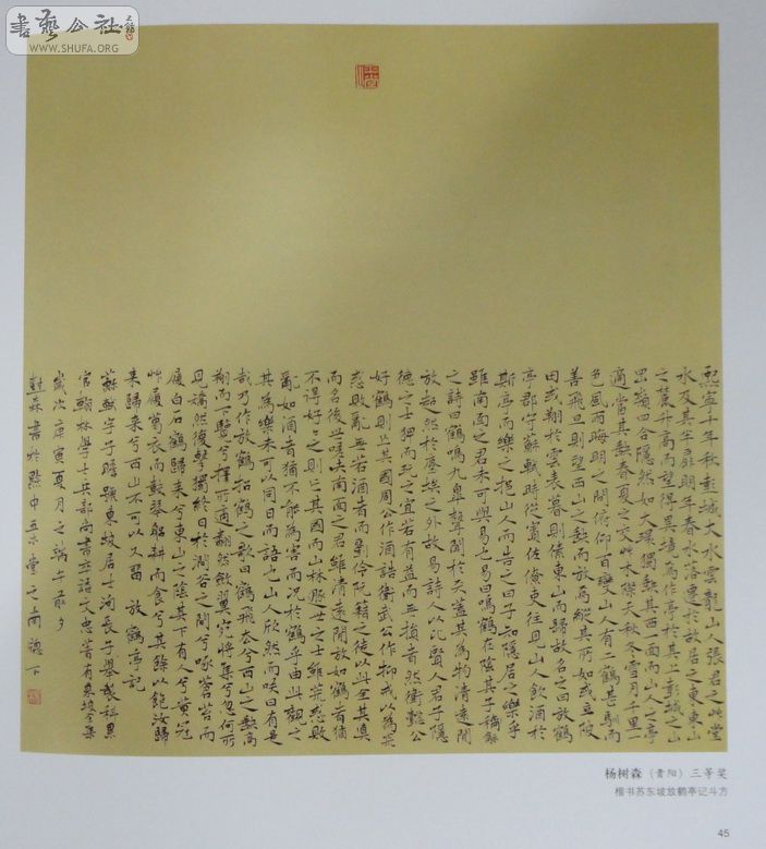 DSC01091.jpg