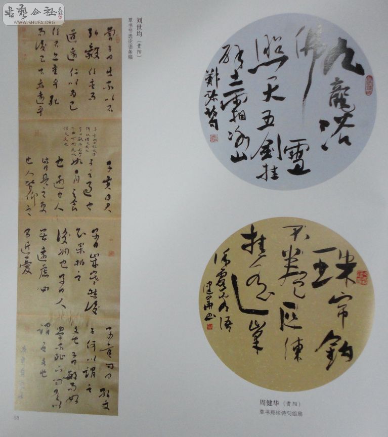 DSC01103.jpg