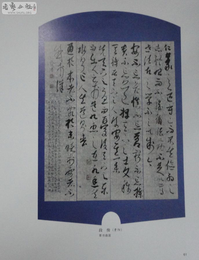 DSC01106.jpg