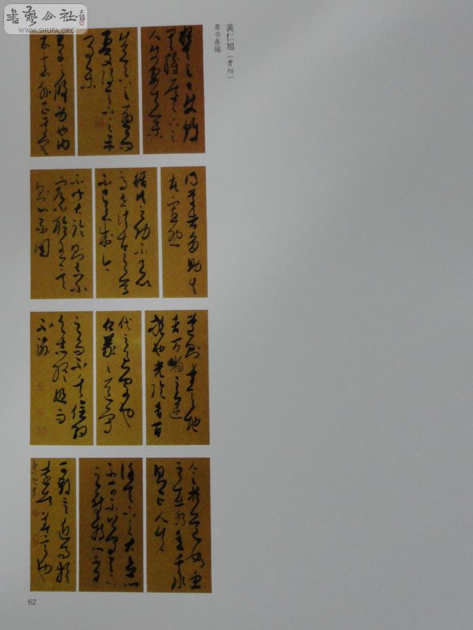 DSC01107.jpg