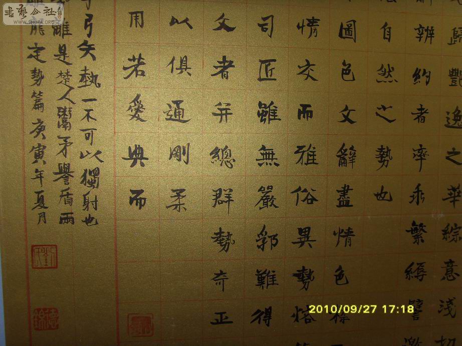 SDC19461.jpg