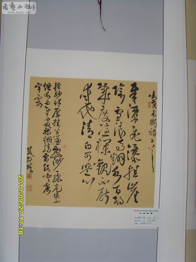 SDC19463.jpg