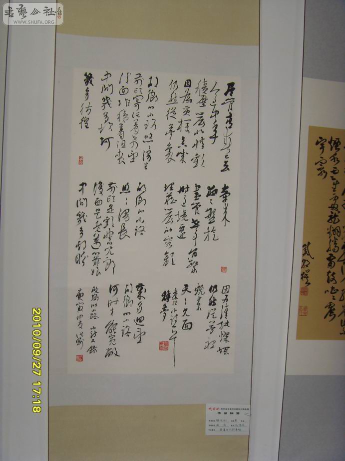 SDC19465.jpg