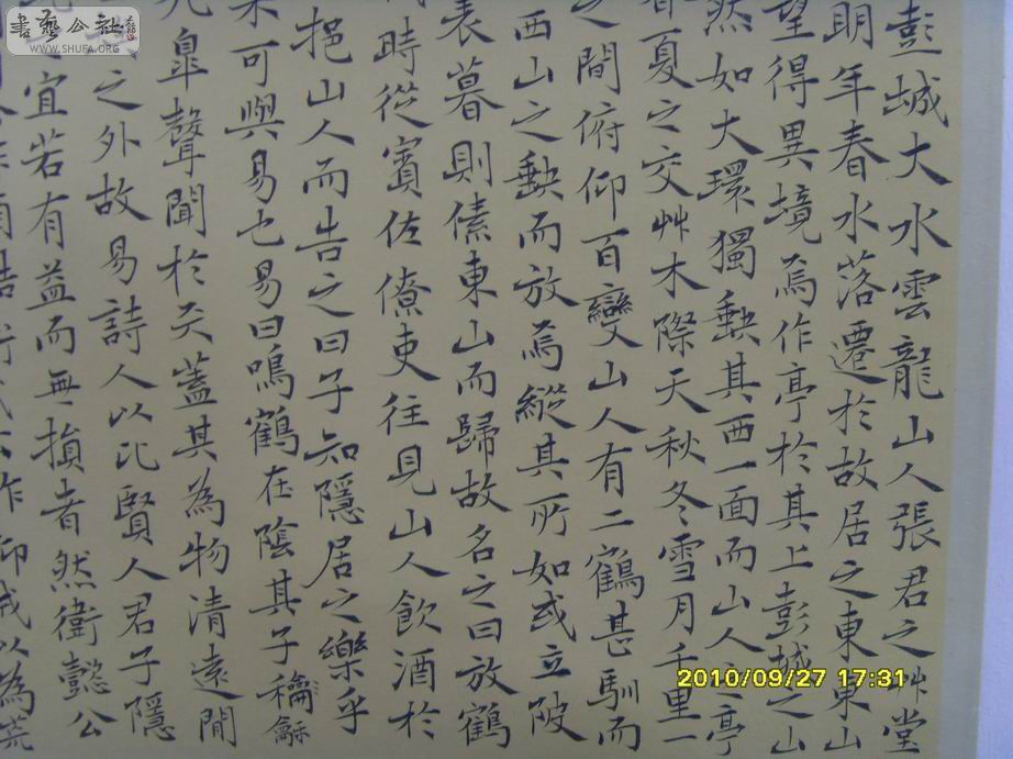 SDC19518.jpg