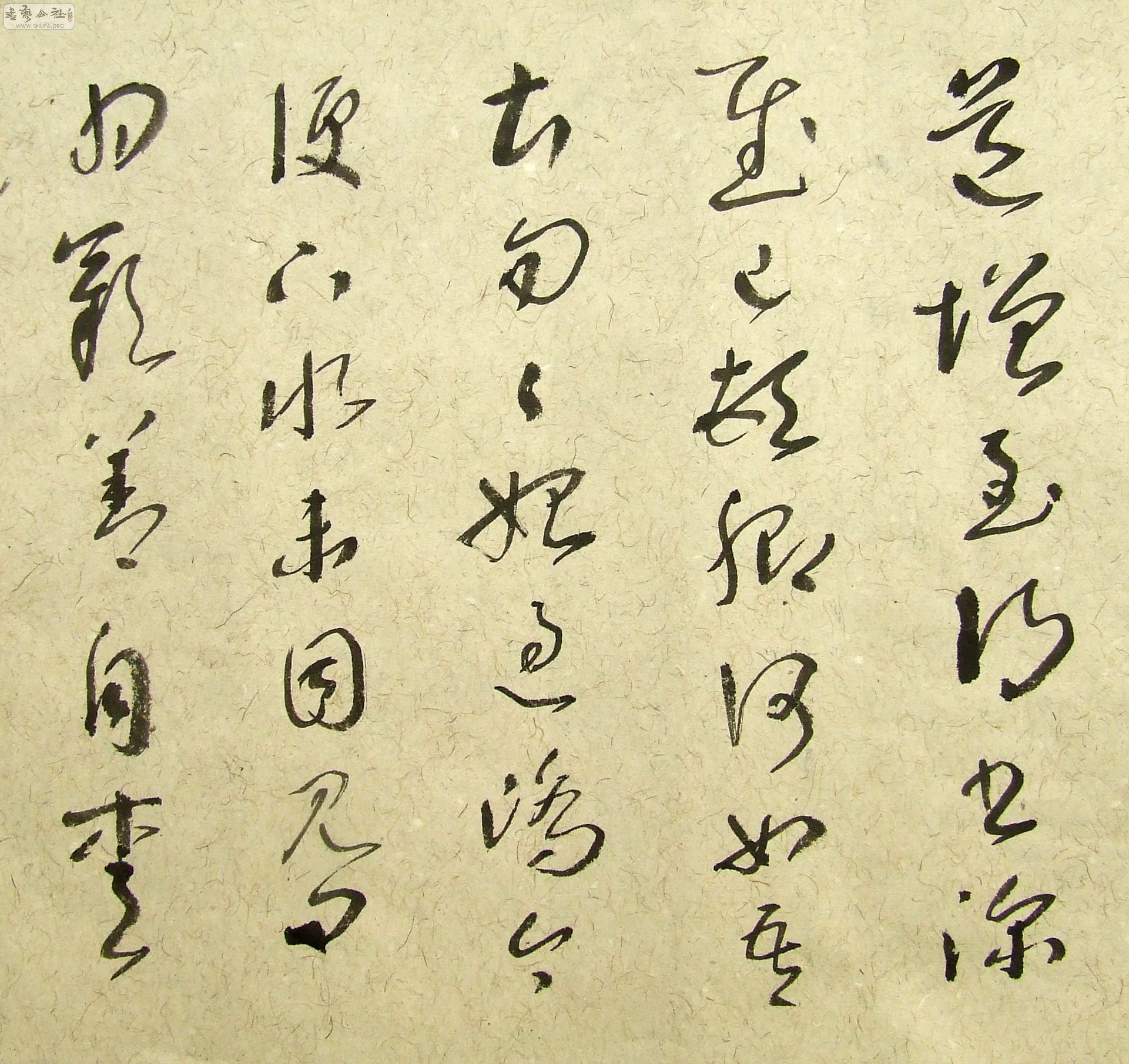 DSCF9876.JPG