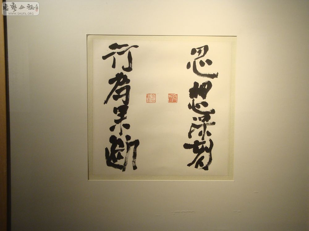 DSC01638.jpg
