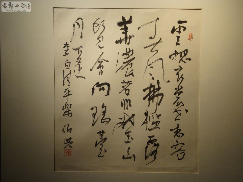 DSC01637.jpg