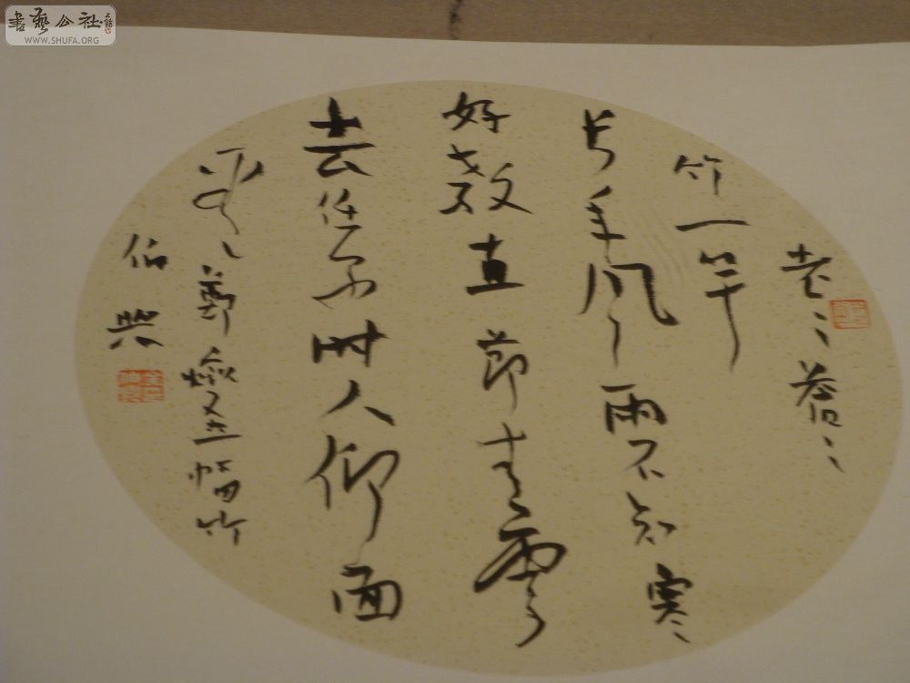 DSC01644.jpg
