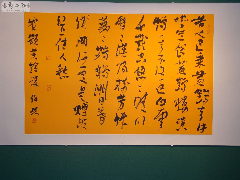 DSC01648.jpg