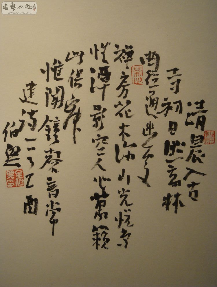 DSC01674.jpg