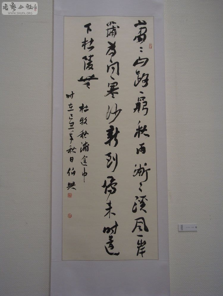 DSC01619.jpg