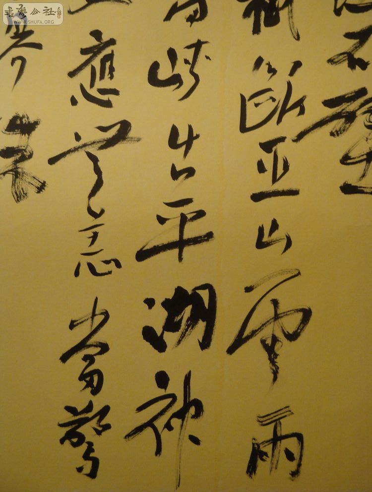 DSC01626.jpg