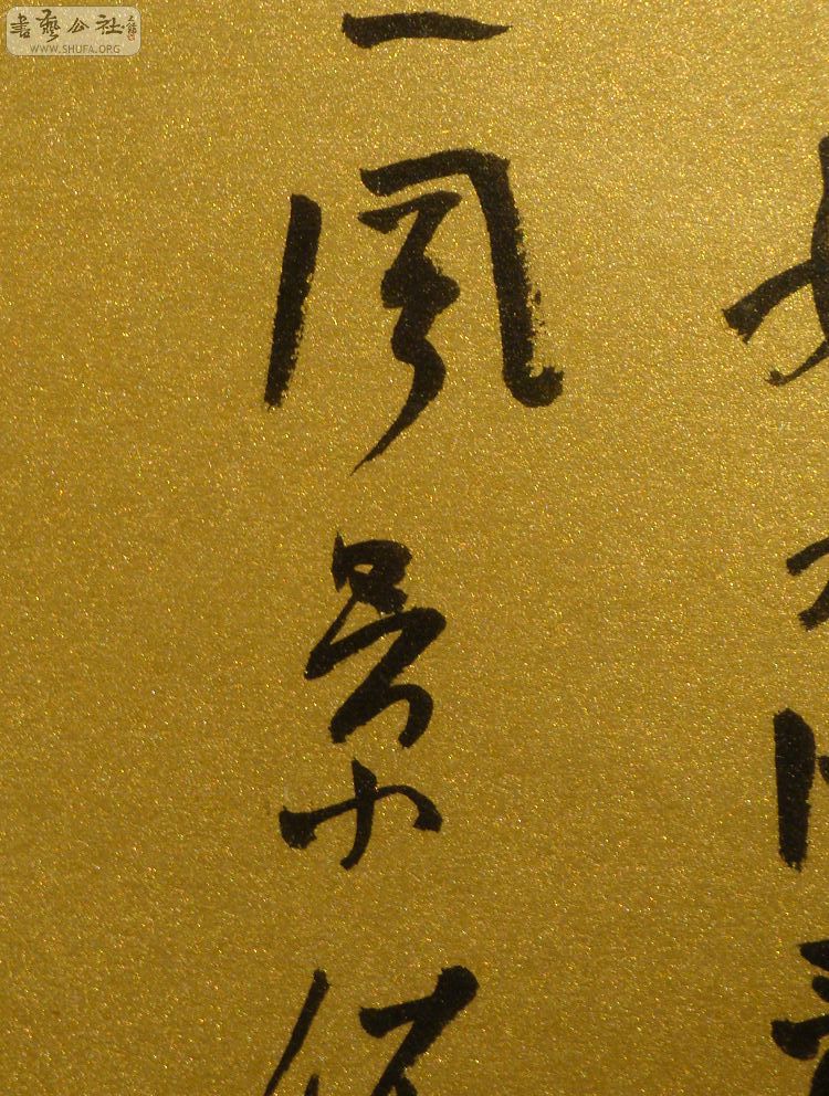 DSC01670.jpg
