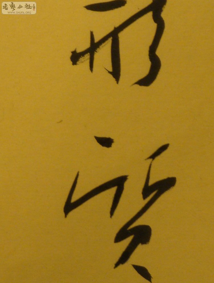 DSC01672.jpg