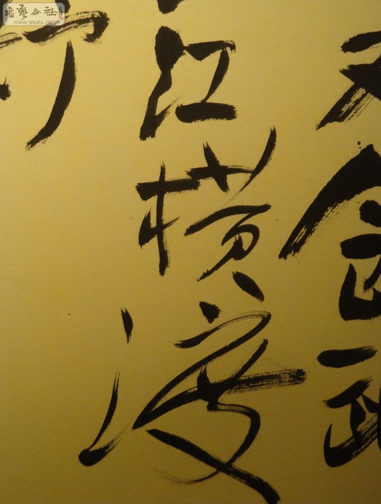 DSC01676.jpg