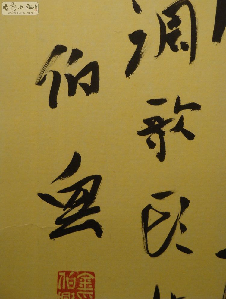 DSC01678.jpg