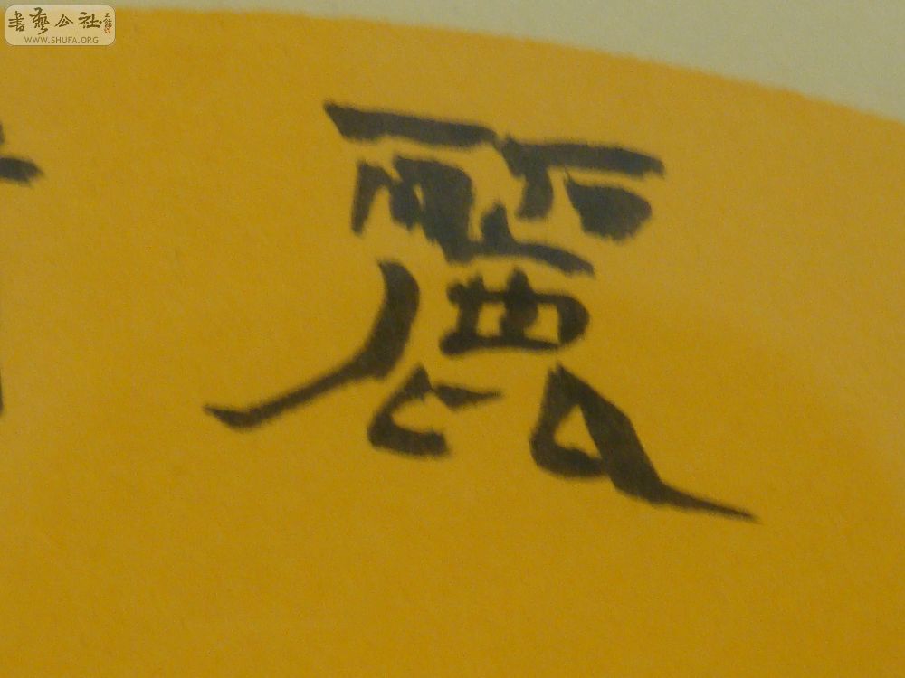 DSC01682.jpg