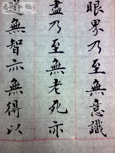 20100807221.jpg