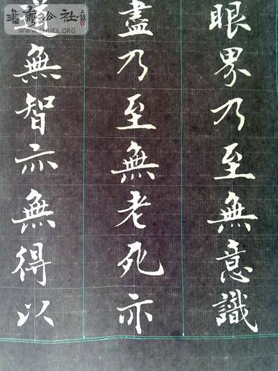 20100807221-.JPG