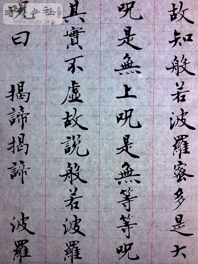 20100807227.jpg
