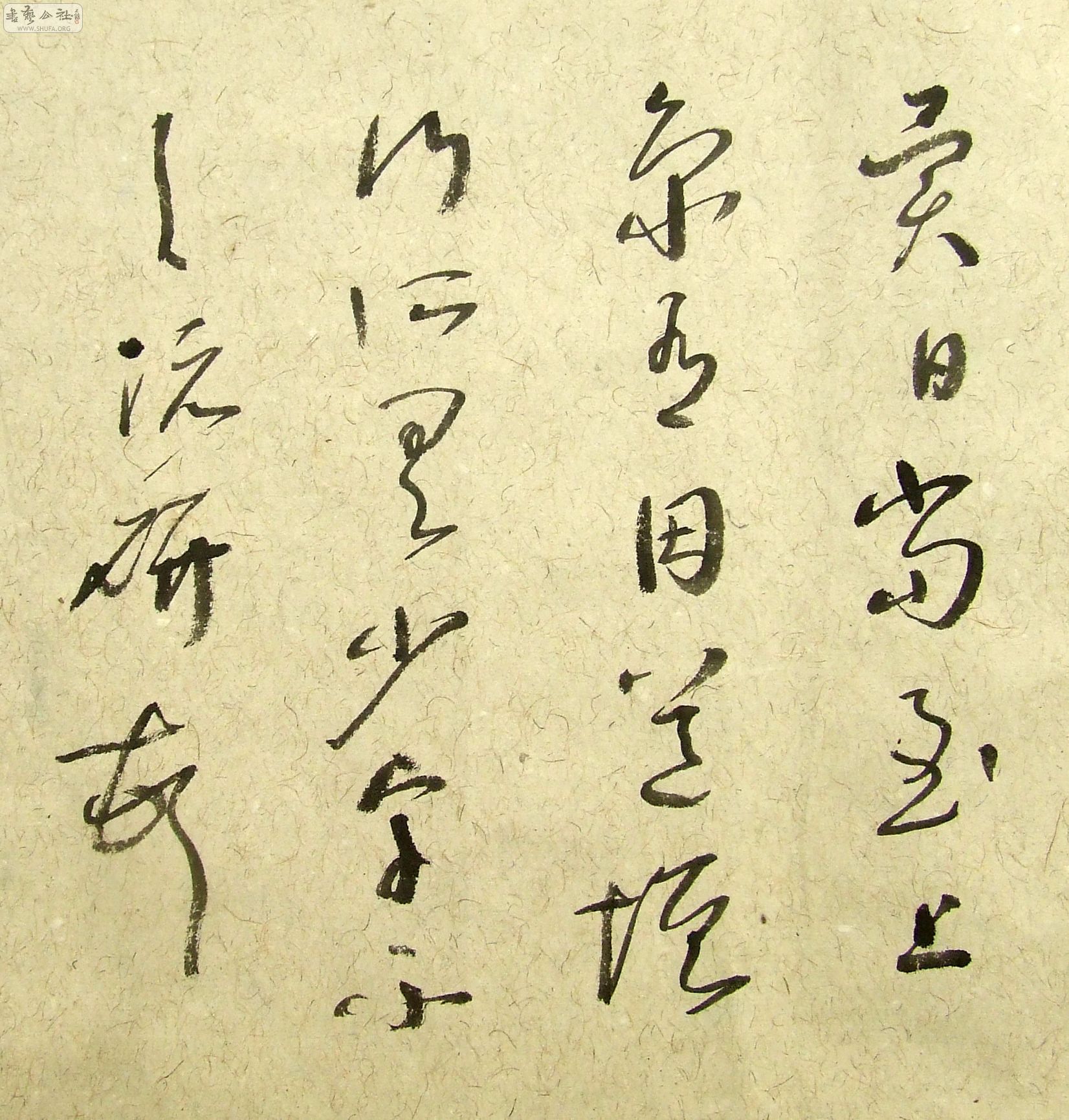 DSCF9877.JPG