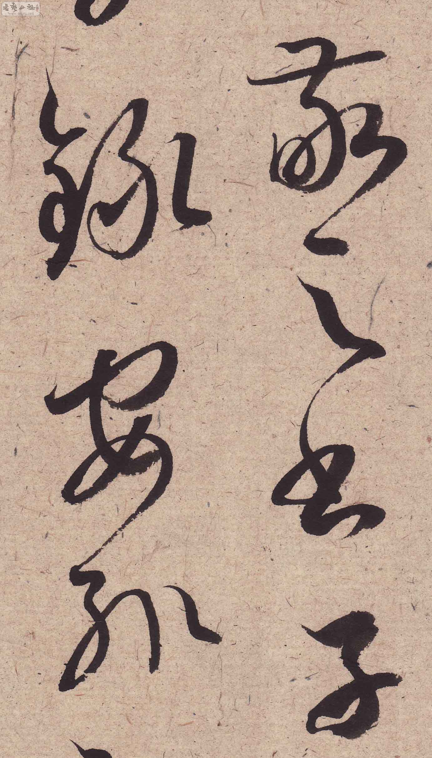 Scan0186.JPG