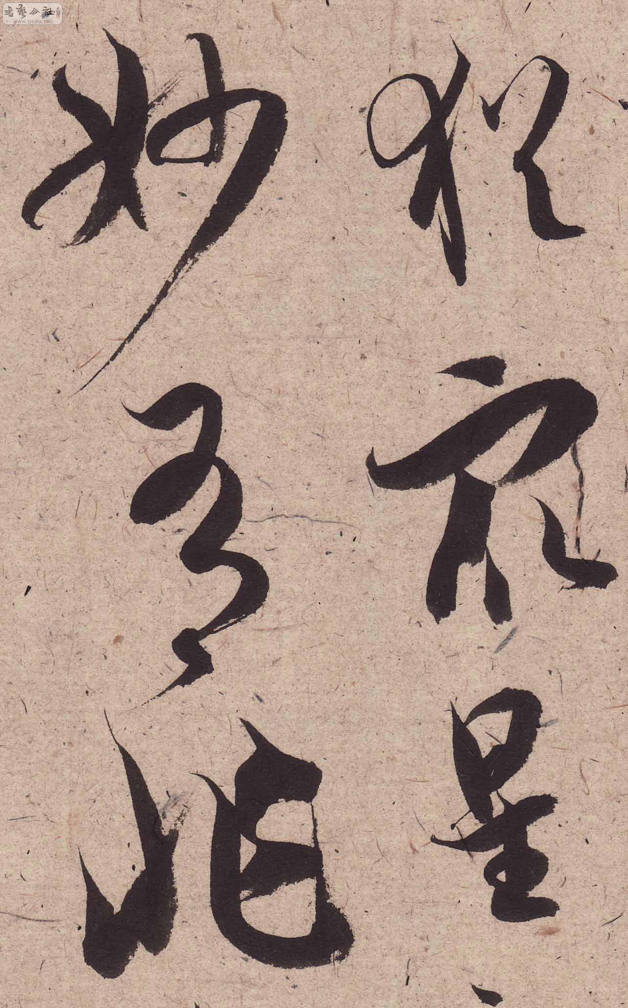 Scan0189.JPG