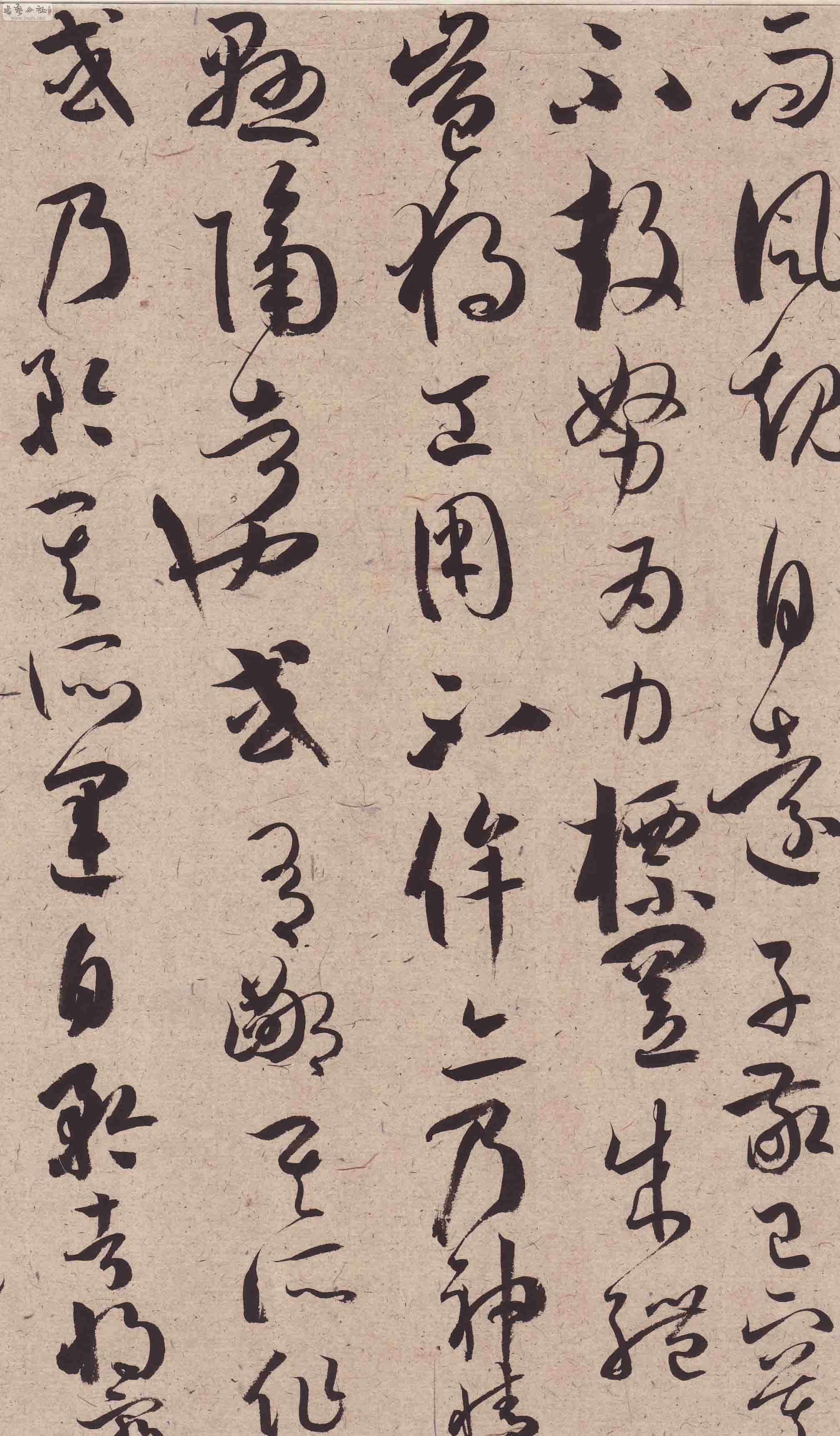 Scan0165.JPG