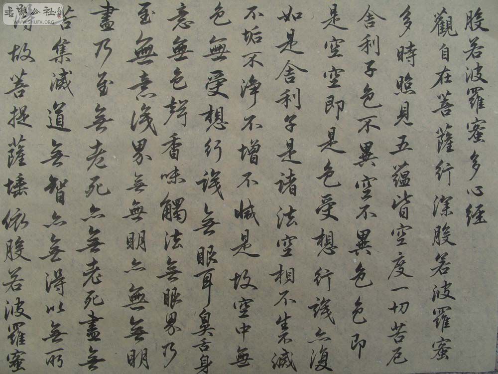 S1054277.JPG