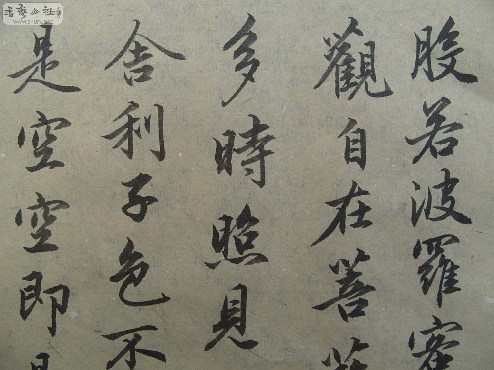 S1054279.JPG