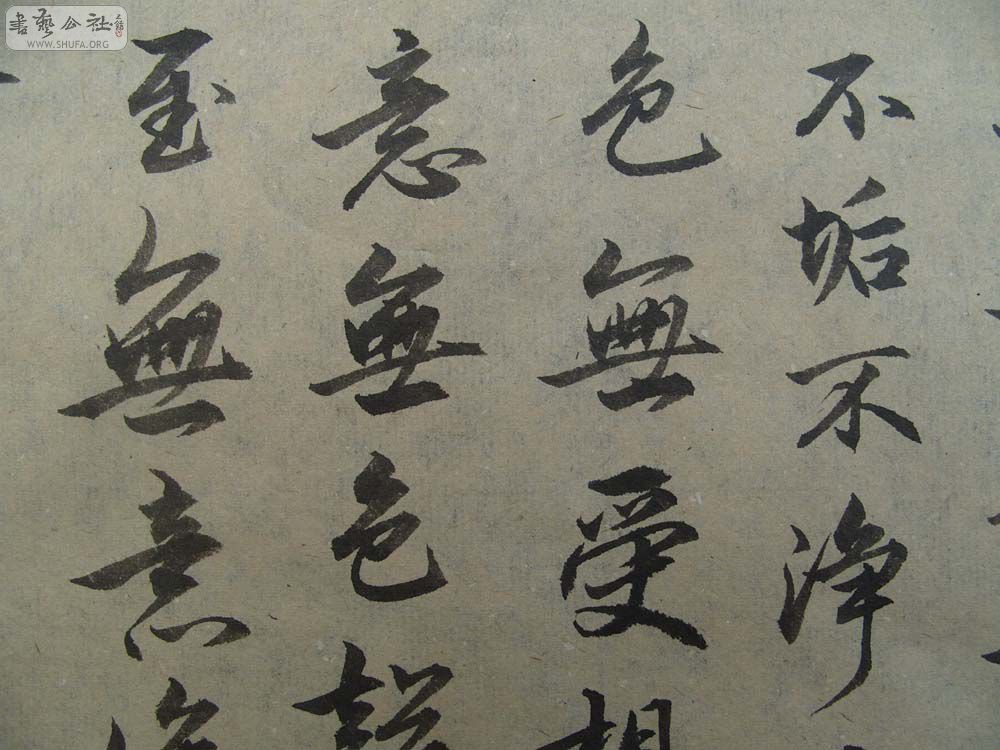 S1054281.JPG