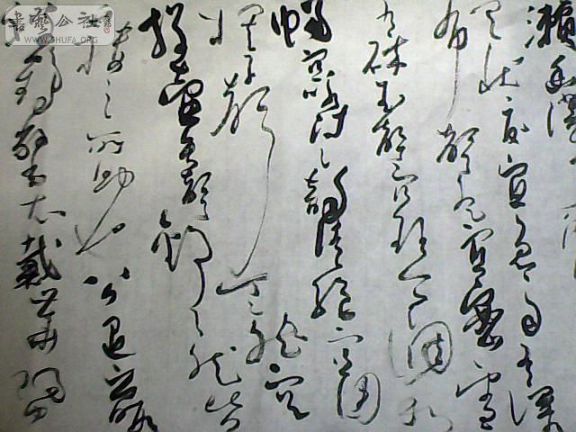 ͼƬ 004.jpg