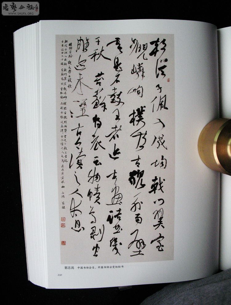 IMG_2583_С_exposure.JPG