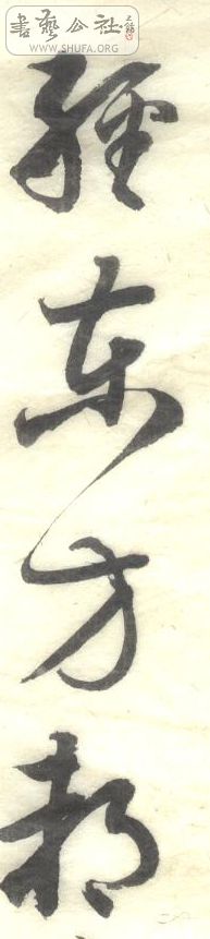 Ƭ 215.jpg