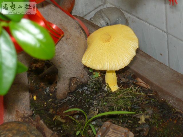 P1110511.JPG