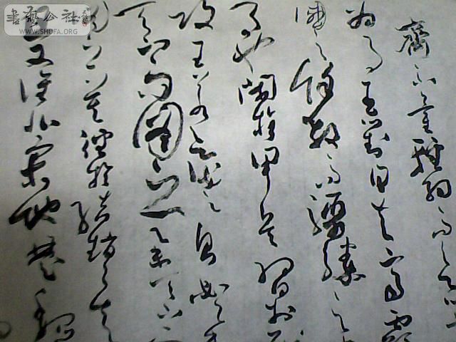 ͼƬ 010.jpg