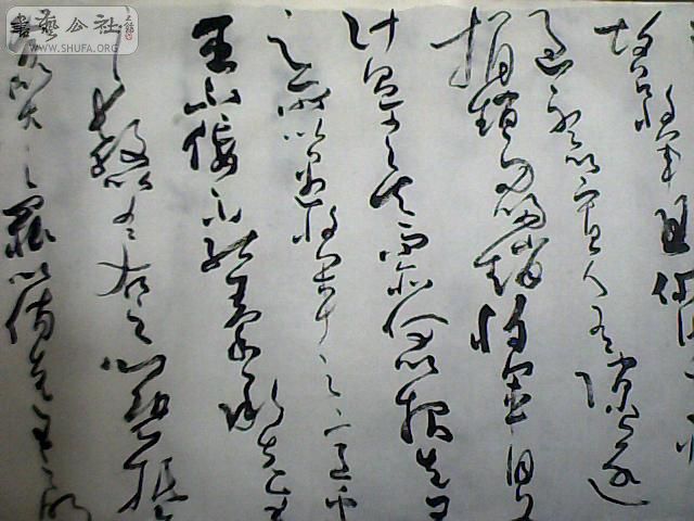 ͼƬ 009.jpg