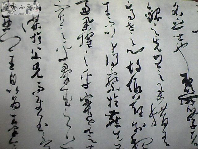 ͼƬ 005.jpg