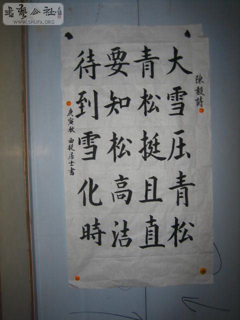 IMG_0135.jpg