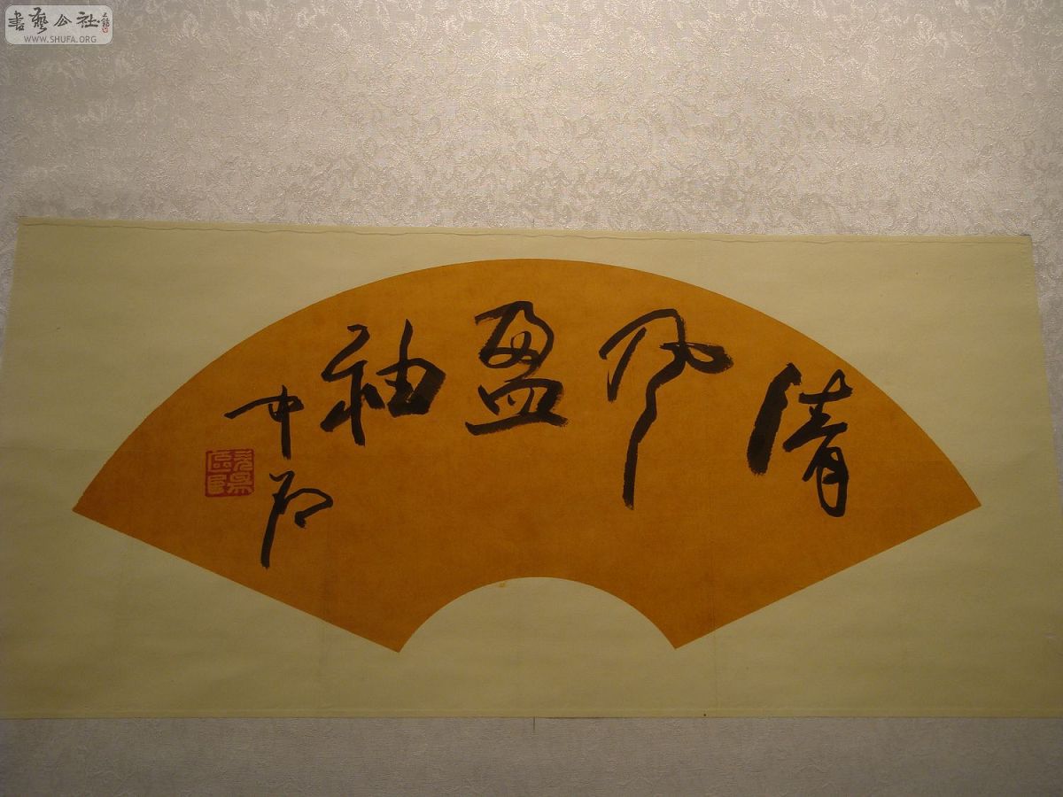DSC02862.jpg