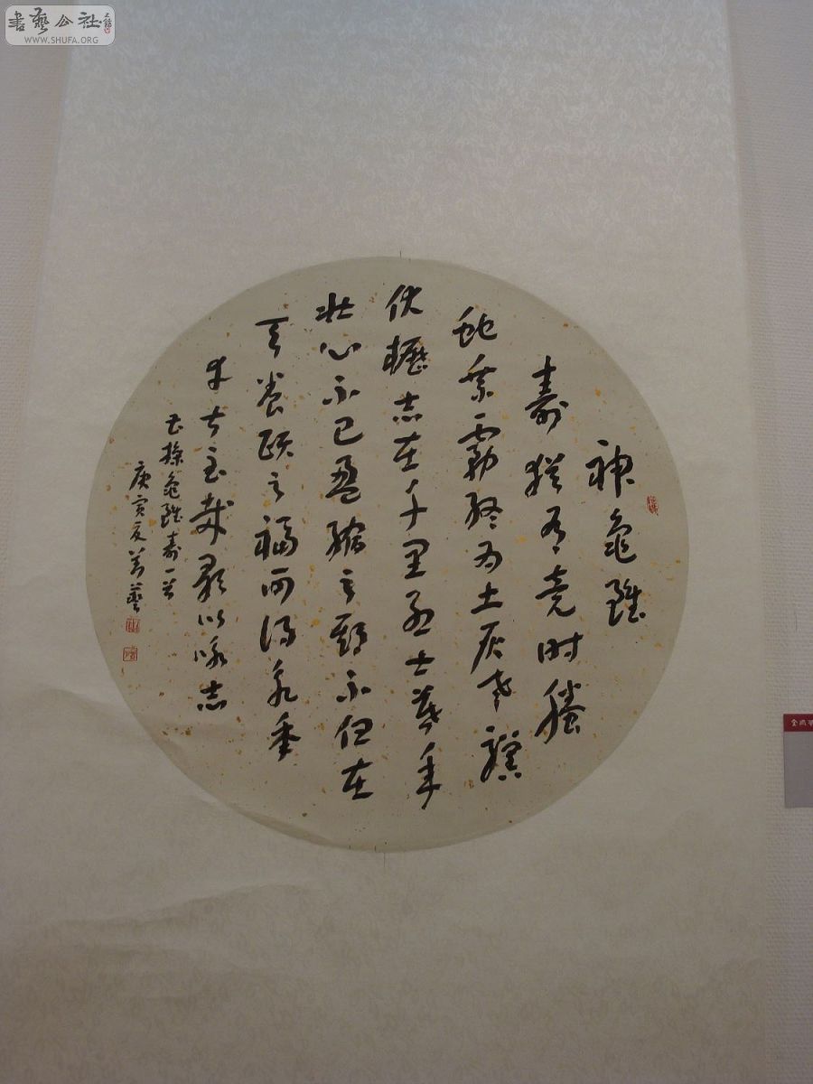 DSC02863.jpg