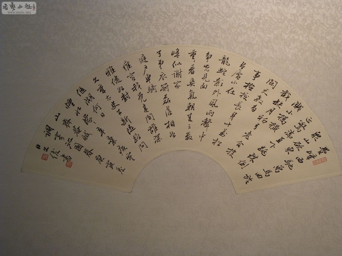 DSC02893.jpg
